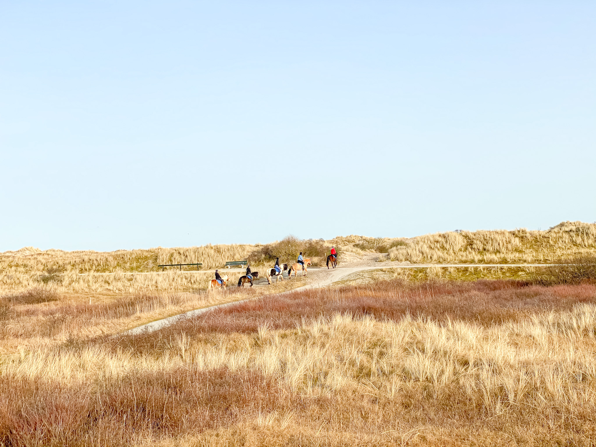 Ameland